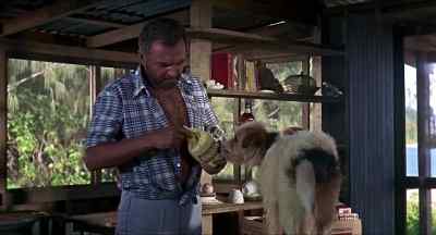 You know,
there's one thing we haven't done. - Age of Consent