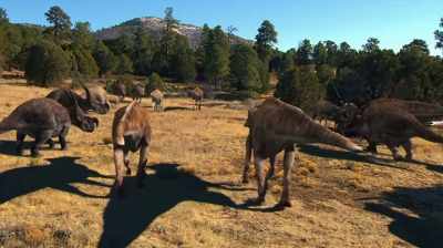 YOU KNOW, THEY WANDERED AROUND
IN HERDS AND PROBABLY - Dino Hunters