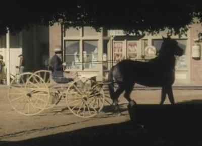 -You know they're taking young
 Miller over to Cedar City? - The Lucky Texan