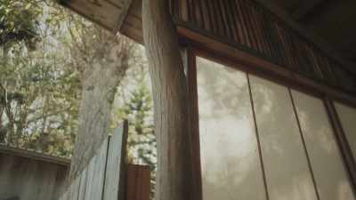 You know, things
that look like they - The Cabin Chronicles