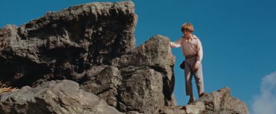 You know those coconut bombs - Swiss Family Robinson