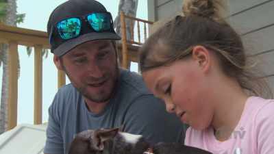 You know that vet bill
with two dogs was probably - Island of Bryan