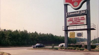 You know what I like best about trees - The Cannonball Run