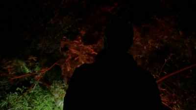 You know what, it's right
where the path closes off too. - Expedition Bigfoot