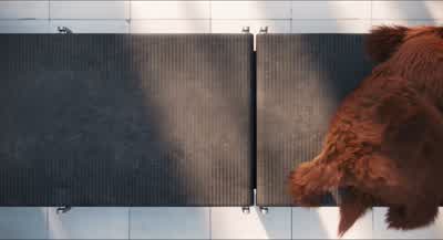 You know what? - The Secret Life of Pets