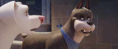 You know what they say, - DC League of Super Pets