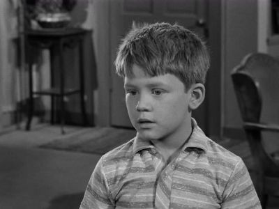 YOU KNOW WHAT THAT MEANS? - The Andy Griffith Show