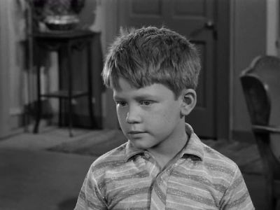 YOU KNOW
WHAT THAT MEANS? - The Andy Griffith Show