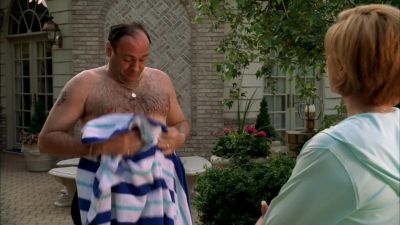 You know what, Tony? What's done is done. - The Sopranos