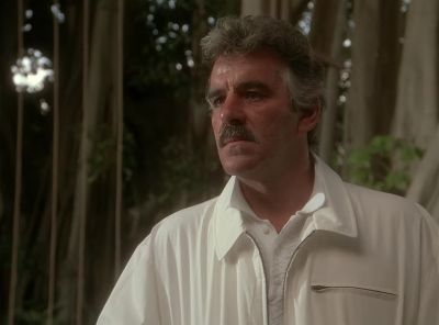 You know what's amazing? - Miami Vice