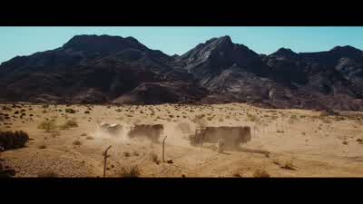 You know who's going to inherit the Earth? - Lord of War