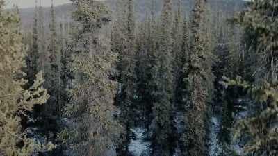 You know, whose, whose
turf is it at what time? - Life Below Zero: Next Generation