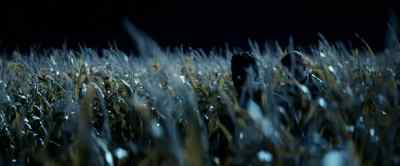 You know, you and me,
we never really did
get along, did we? - Dark Harvest