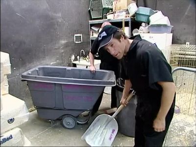 YOU KNOW YOUR SHIP HAS COME IN - Dirty Jobs