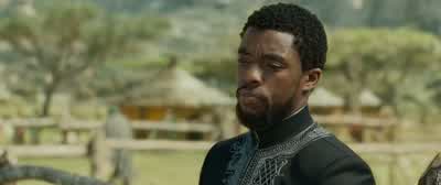 You let the refugees inthey bring their problems with them - Black Panther