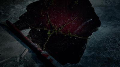 You lied to me. - The Originals