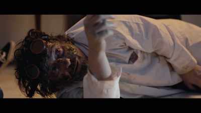 You lied to me. - The Deadly Swarm