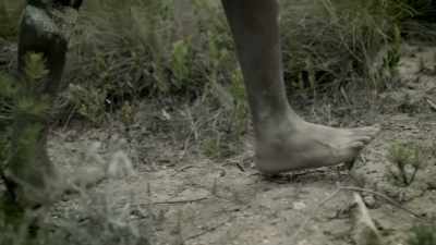YOU LIVE IN A SMALL
HUNTER-GATHERER CLAN ROAMING - Origins: The Journey of Humankind