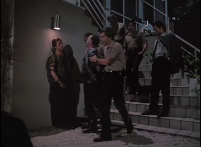 You live with me, don't you?
[Chuckling] - Miami Vice