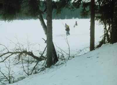 You' ll soon be warm again. - The Call of the Wild