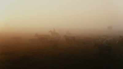 You look around
at all the big ranches that was here - Path of the Panther