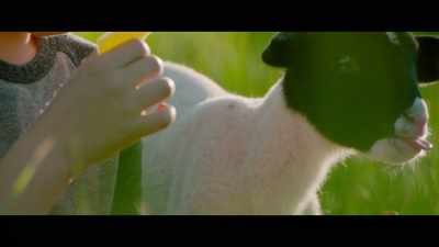 You look like you have a mohawk,
I'm gonna call you "Mo." - The Biggest Little Farm: The Return