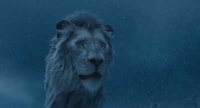 You lost a father, - Mufasa: The Lion King