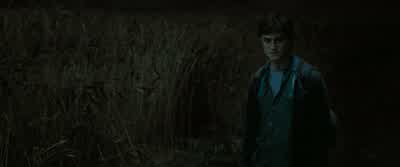 You mad?We wouldn’t last two days without her. - Harry Potter and the Deathly Hallows: Part 1