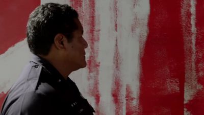 You made all this? - Hawaii Five-0