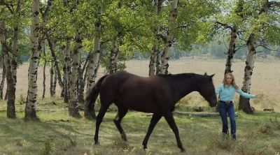 You make it look so easy. - Heartland