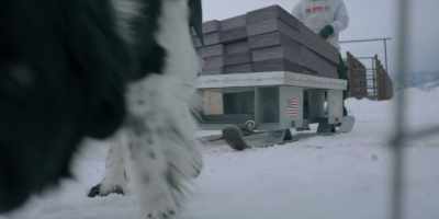 ♪ You may die along the road ♪ - The Year of the Dog