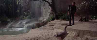 You may leave me now. - Krull