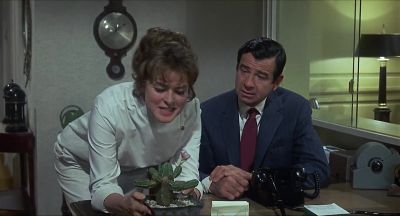 You mean you spent the night with that hippie - Cactus Flower