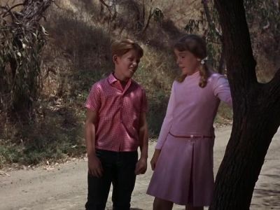 YOU MEAN THIS TREE, OPIE? - The Andy Griffith Show