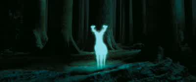 - You mean we've gone back in time? - Harry Potter and the Prisoner of Azkaban