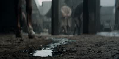 - You mentioned coin. - The Witcher