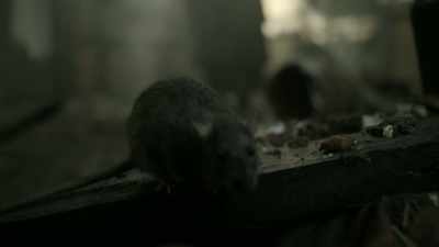 You might as well have expected
if you had a bad wound - Origins: The Journey of Humankind