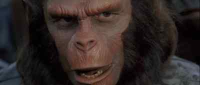 You murdered my son.
You murdered my son. - Battle for the Planet of the Apes