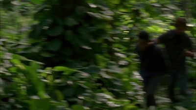 You must be pretty scared, huh? - Lost