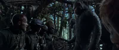 You must fear. - War for the Planet of the Apes