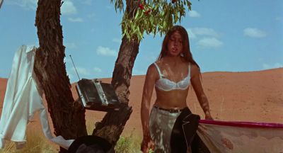 You must look after your blazer - Walkabout