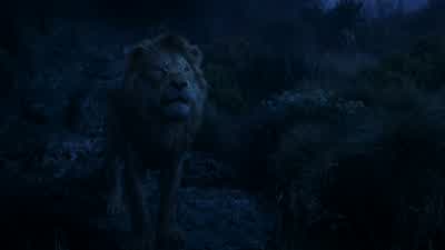 You must remember who you areThe one true king - The Lion King