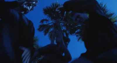 You need a lesson. - Cruel Jaws