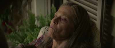 You need anything else? - The Lost Flowers of Alice Hart