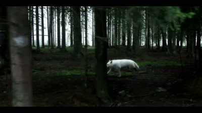 You need to be able to know - Beyond: UFOS and the Unknown