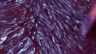 You need good-quality grapes
and fresh soft pomace - Moonshiners: Master Distiller
