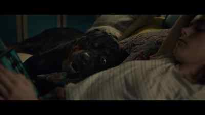 You need to wake up. - The Silence