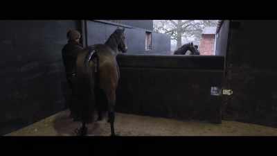 You never absolutely
know horses are going to react, - Horsepower