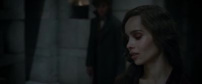 You never met a monster you couldn't love - Fantastic Beasts: The Crimes of Grindelwald