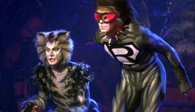 You never saw anything - Cats